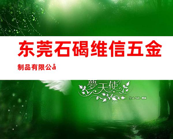 东莞石碣维信五金制品有限公司