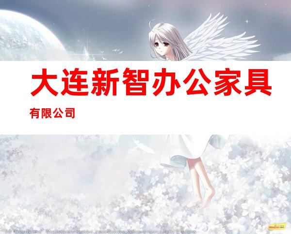 大连新智办公家具有限公司