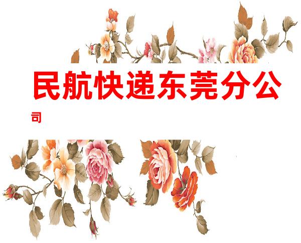 民航快递东莞分公司